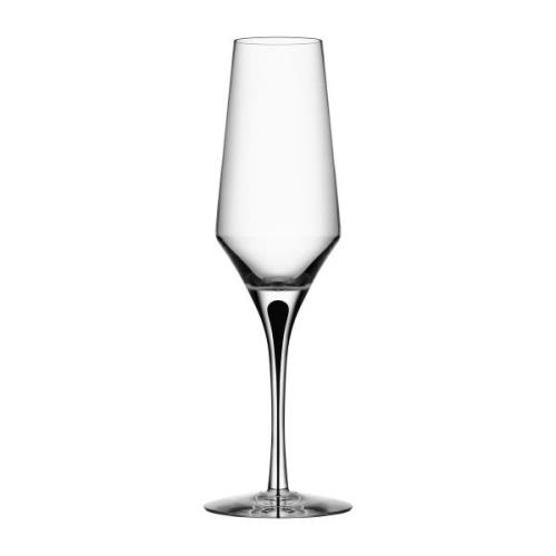 Orrefors Metropol champagneglas 27 cl Clear/Black