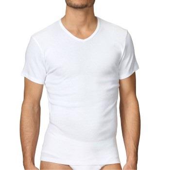 Calida Cotton 1 Herr T-Shirt V 14315 * Gratis Fragt *