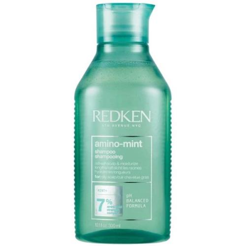 Redken Amino Mint for Oily Scalps and Finishing Hair Spray Wax for Bod...