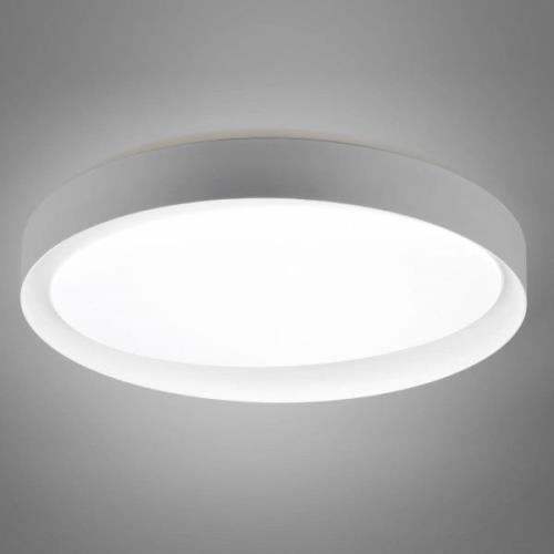 Zeta LED-loftlampe, tunable white, grå/hvid