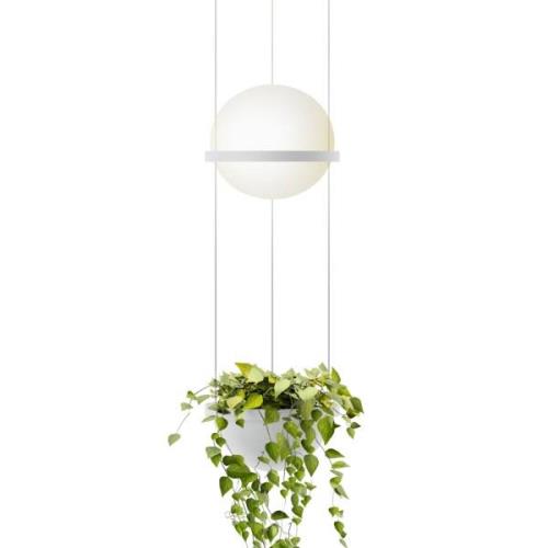 Vibia Palma 3724 hængelampe, planteskål, hvid