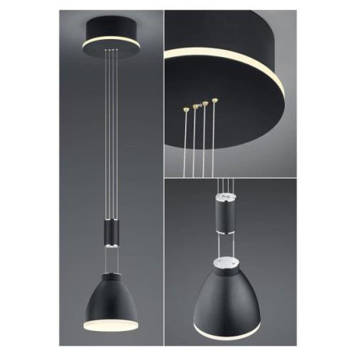 Leni LED-hængelampe, 1 lyskilde, sort