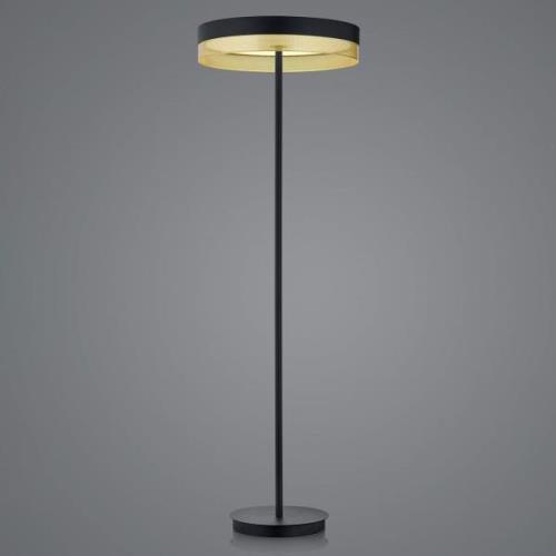 LED-gulvlampe Mesh, touch-dæmper, sort/guld