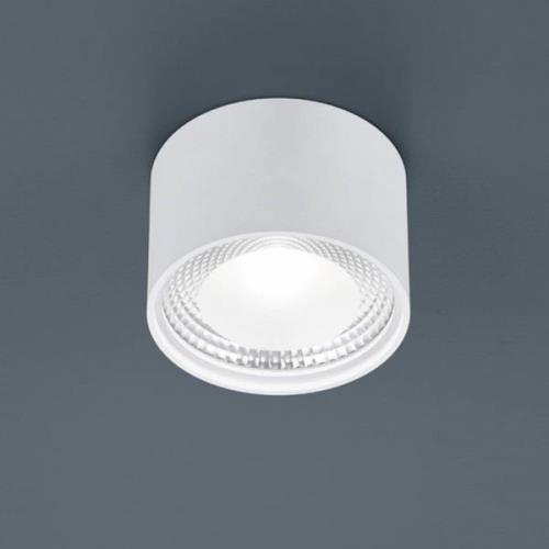 Helestra Kari LED-loftlampe, rund, hvid
