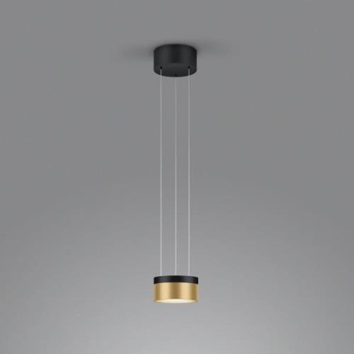 Helestra Oda LED-hængelampe sort/guld