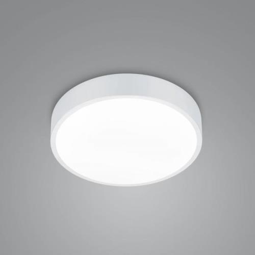 LED-loftslampe Waco, CCT, Ø 31 cm, mat hvid