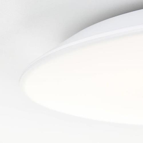 Colden LED-badeværelsesloftlampe, hvid, tænd/sluk, Ø 29 cm