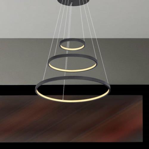 Ralph LED-hængelampe, 3 lyskilder, sort