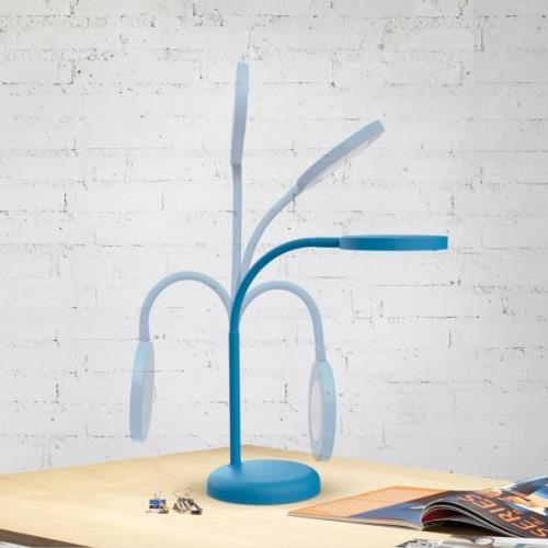 MAULjoy LED-bordlampe, blå