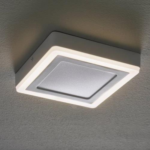 LEDVANCE LED Click White Square loftlampe 20cm