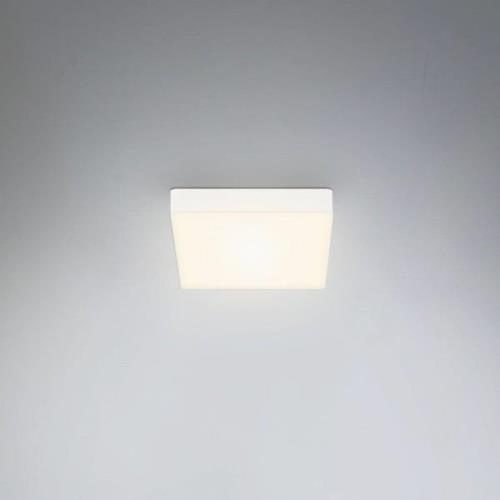 Flame LED-loftslampe, 15,7 x 15,7 cm, hvid