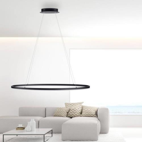 Paul Neuhaus Titus LED-pendel, oval 118x56 cm