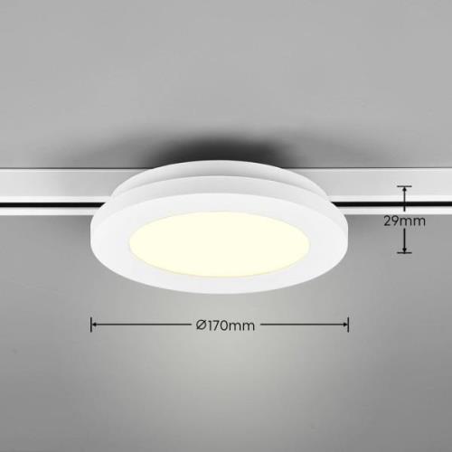 LED-loftslampe Camillus DUOline, Ø 17 cm, hvid
