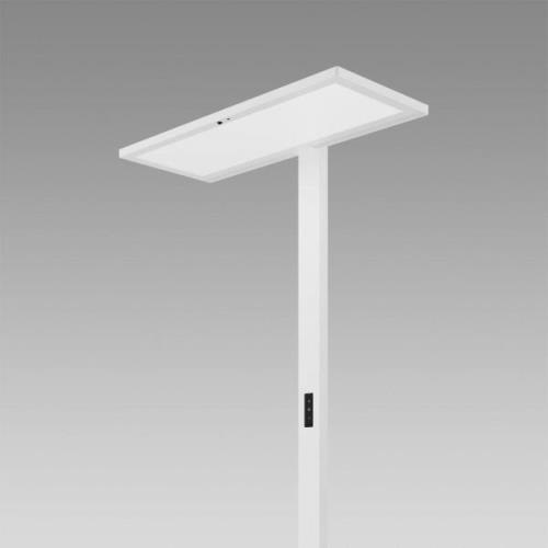 Regent Lighting Lightpad midt sensor, hvid fod