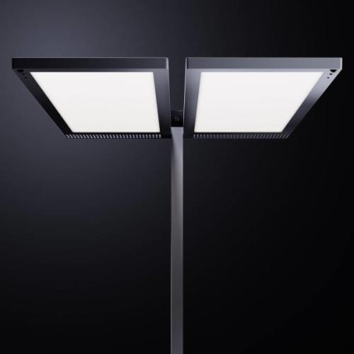 Regent Lighting Lightpad, LED 2 lk midt fod hvid