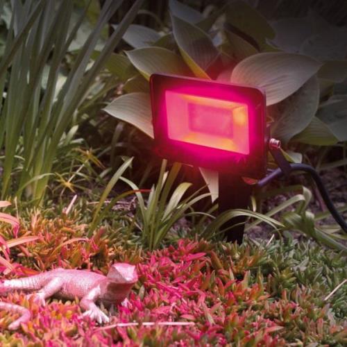 Megatron LED udendørs spotlight MT69070, RGBW