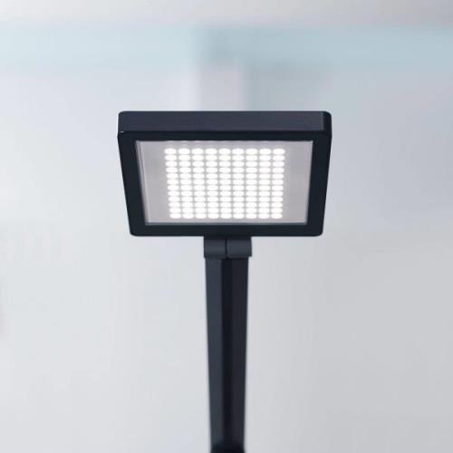 LED-bordlampe PARA.MI FTL 108 R sort 940