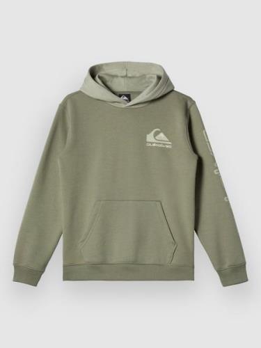 Quiksilver Omni Logo Hættetrøje grøn