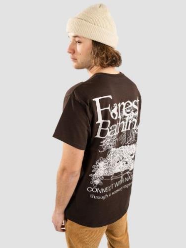 Dravus Forest Bathing T-shirt brun