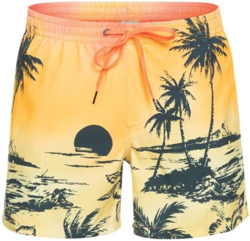 Quiksilver Everyday Paradise Volley 15" Badeshorts Herrer Tøj Gul L