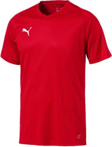 Puma Liga Core Tshirt Herrer Kortærmet Tshirts Sort Xs