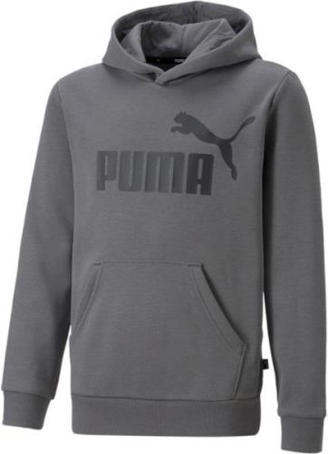 Puma Essentials Big Logo Hættetrøje Unisex Tøj Grå 104