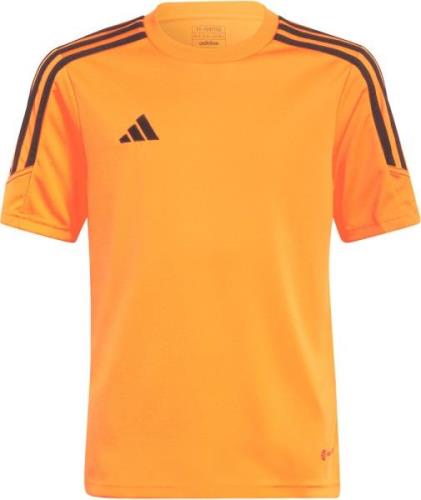 Adidas Tiro 23 Club Trænings Tshirt Unisex Tøj Orange 140