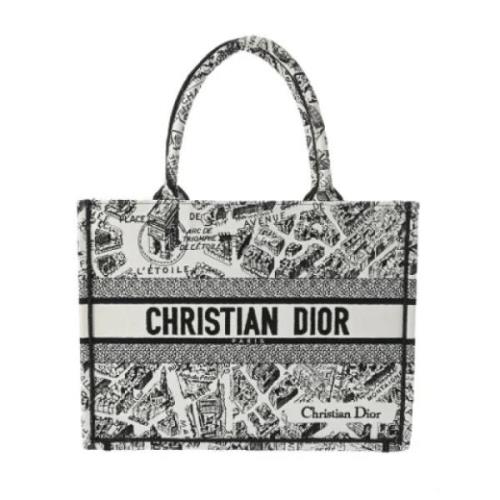 Pre-owned Canvas dior-tasker