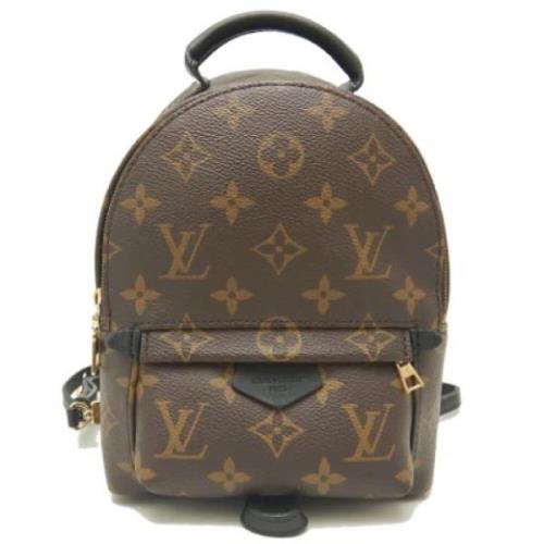 Pre-owned Plast louis-vuitton-tasker