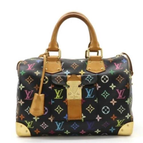 Pre-owned Plast louis-vuitton-tasker