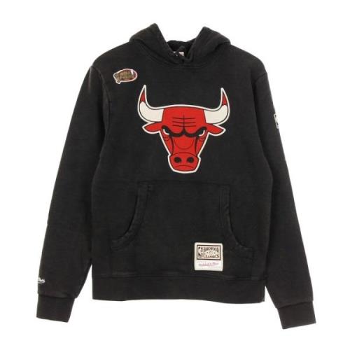 Chicago Bulls NBA Logo Hoodie