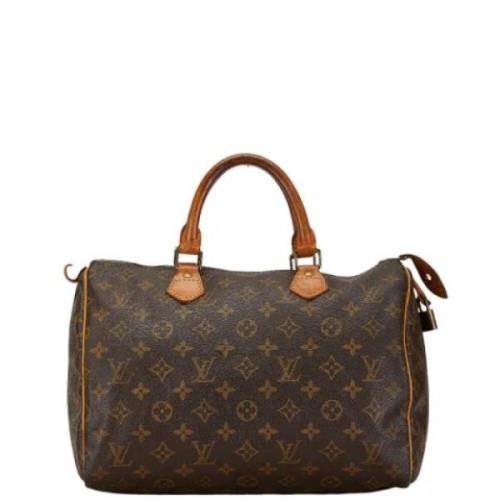 Pre-owned Plast louis-vuitton-tasker