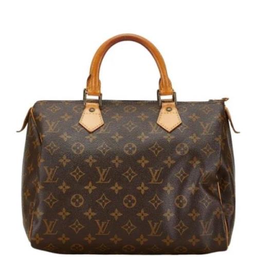 Pre-owned Plast louis-vuitton-tasker