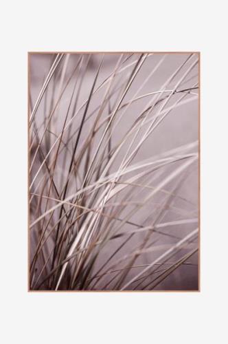 Billede Spec. Mellow grasses 1