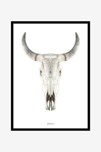 Billede Cow skull