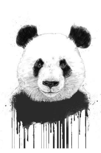 Pelcasa - Plakat Graffiti Panda - Hvid - Posters - - Homeroom