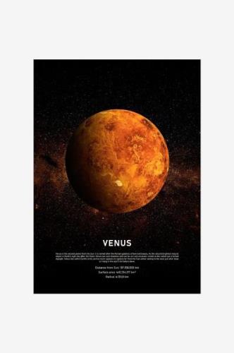 Malerifabrikken - Poster Venus - Sort - Posters - - Homeroom