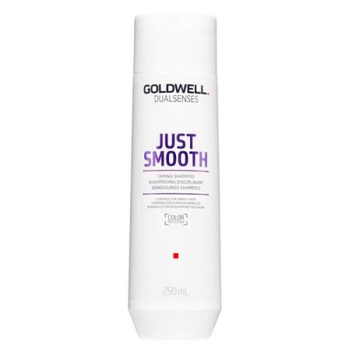 Goldwell Dualsenses Just Smooth Shampoo 250ml