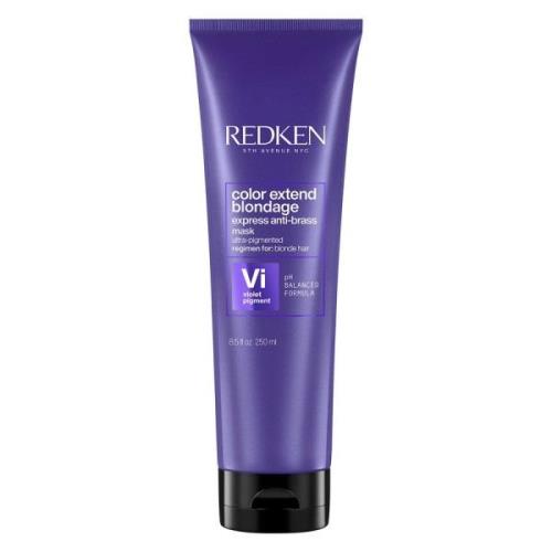 Redken Color Extend Blondage Express Anti-Brass Mask 250 ml