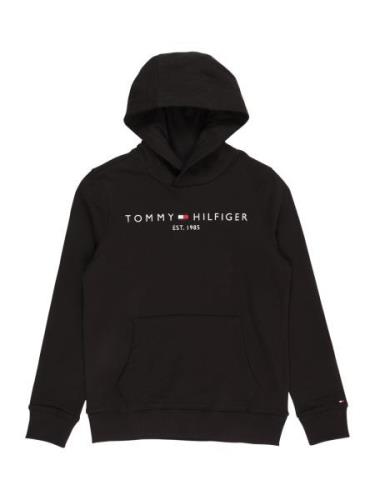 TOMMY HILFIGER Sweatshirt  rød / sort / hvid