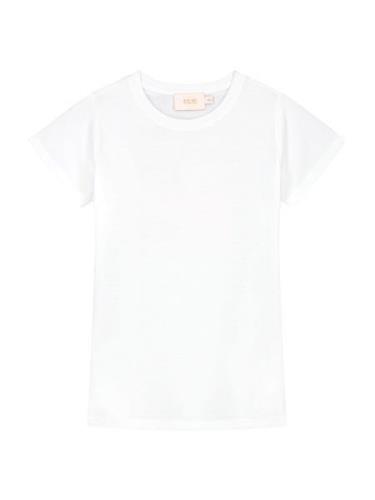 Shiwi Bluser & t-shirts 'Tahiti'  orange / gammelrosa / hvid