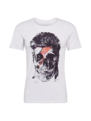 EINSTEIN & NEWTON Bluser & t-shirts 'Flash Skull'  grå / sort / hvid