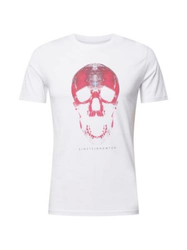 EINSTEIN & NEWTON Bluser & t-shirts 'Skull'  grå / pitaya / hvid