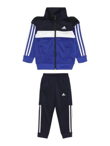 ADIDAS SPORTSWEAR Træningsdragt 'Tiberio'  royalblå / sort / hvid