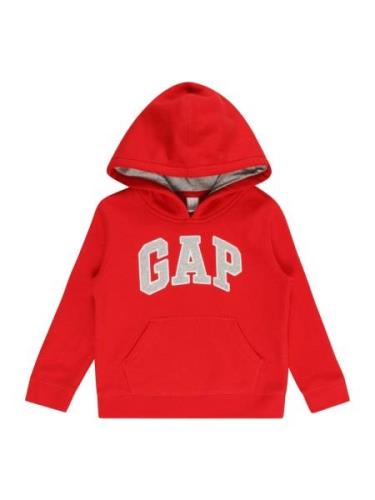GAP Sweatshirt  grå / rød / hvid