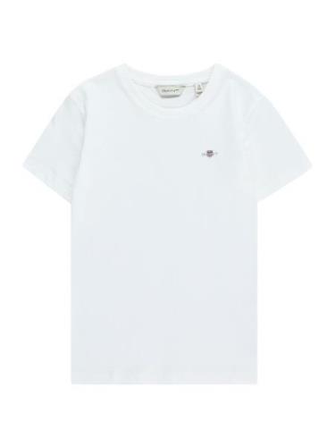 GANT Bluser & t-shirts  navy / lysegrå / rød / hvid