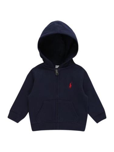 Polo Ralph Lauren Sweatjakke  navy / rød