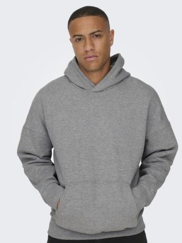 Only & Sons Sweatshirt 'Dan'  grå-meleret