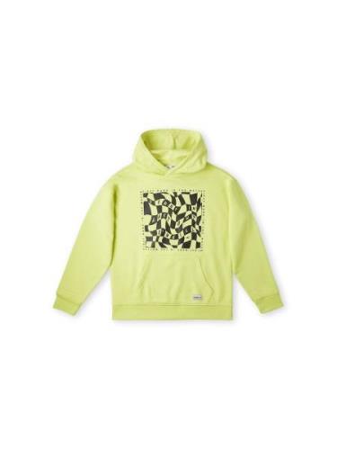 O'NEILL Sweatshirt 'Checker'  gul / lime