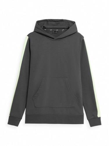 4F Sportsweatshirt  antracit / grøn